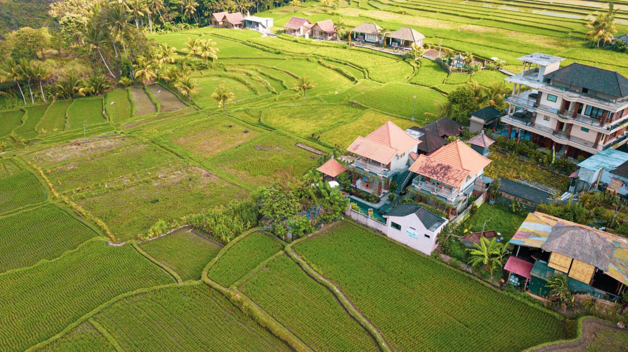 Raditya Villa Ubud Exterior photo